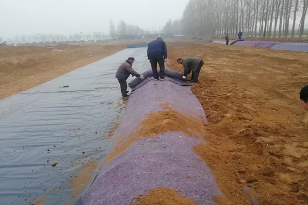 污软件下载大全免费下载在雨季铺设的注意事项